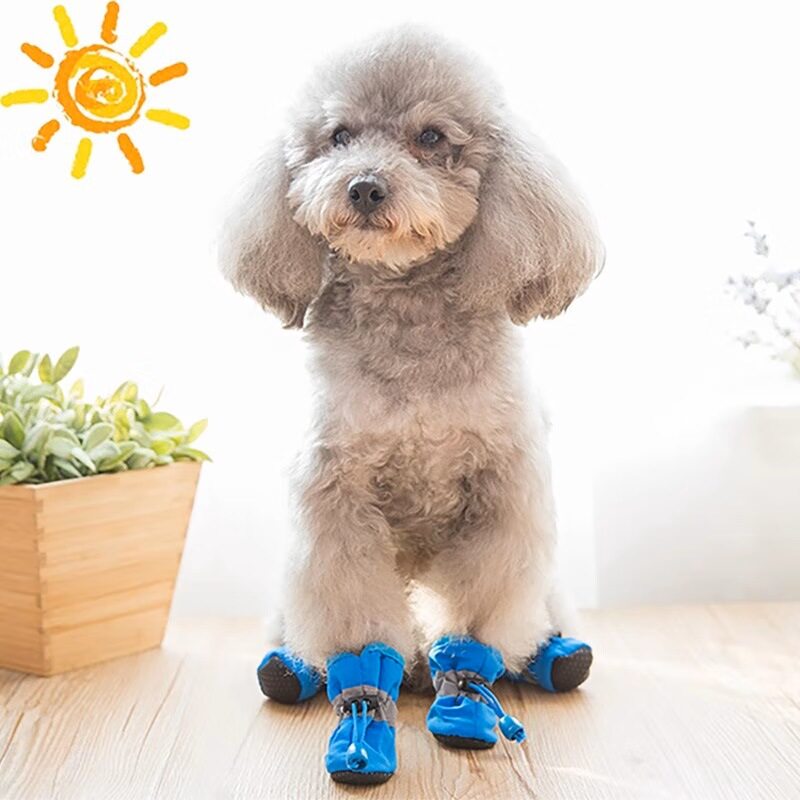 狗狗鞋子宠物小型犬四季