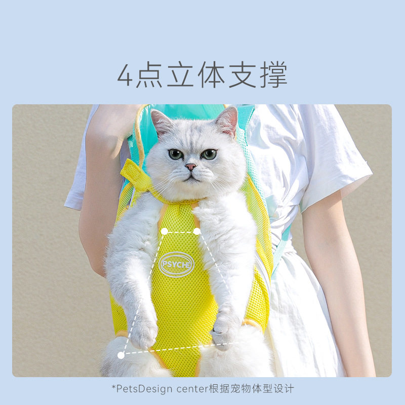 春夏季透气外出猫包四季