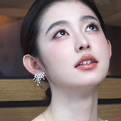 璀璨星云仿珍珠耳环2026新款 爆款 高级感轻奢小众气质独特漂亮耳钉