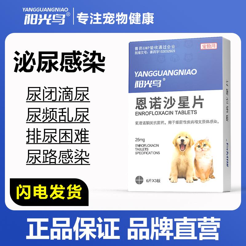 宠物药恩诺沙星片猫咪尿路感染