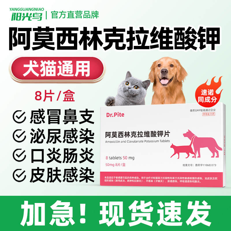 宠物猫咪狗狗阿莫西林猫鼻支