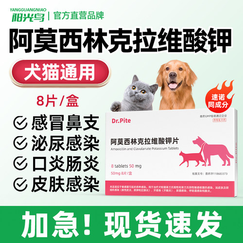 宠物猫咪狗狗阿莫西林猫鼻支