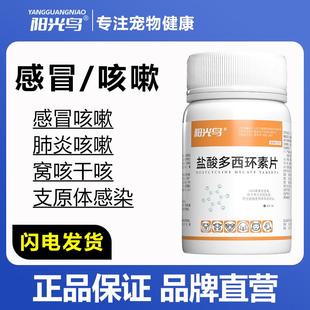 宠物猫咪狗狗感冒咳嗽窝咳干呕速诺消炎支原体感染盐酸多西环素片