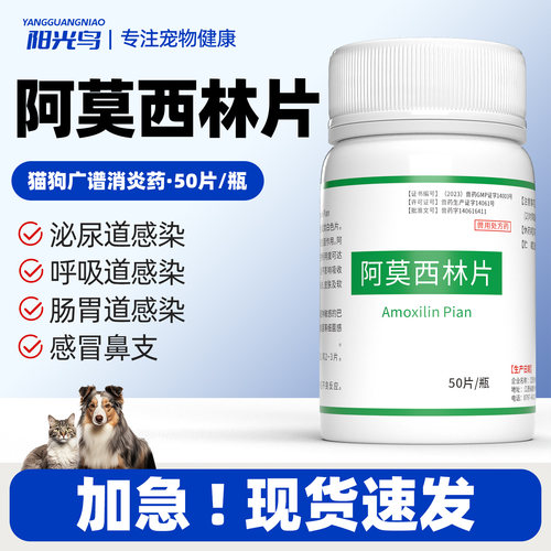 宠物用阿莫西林片消炎药