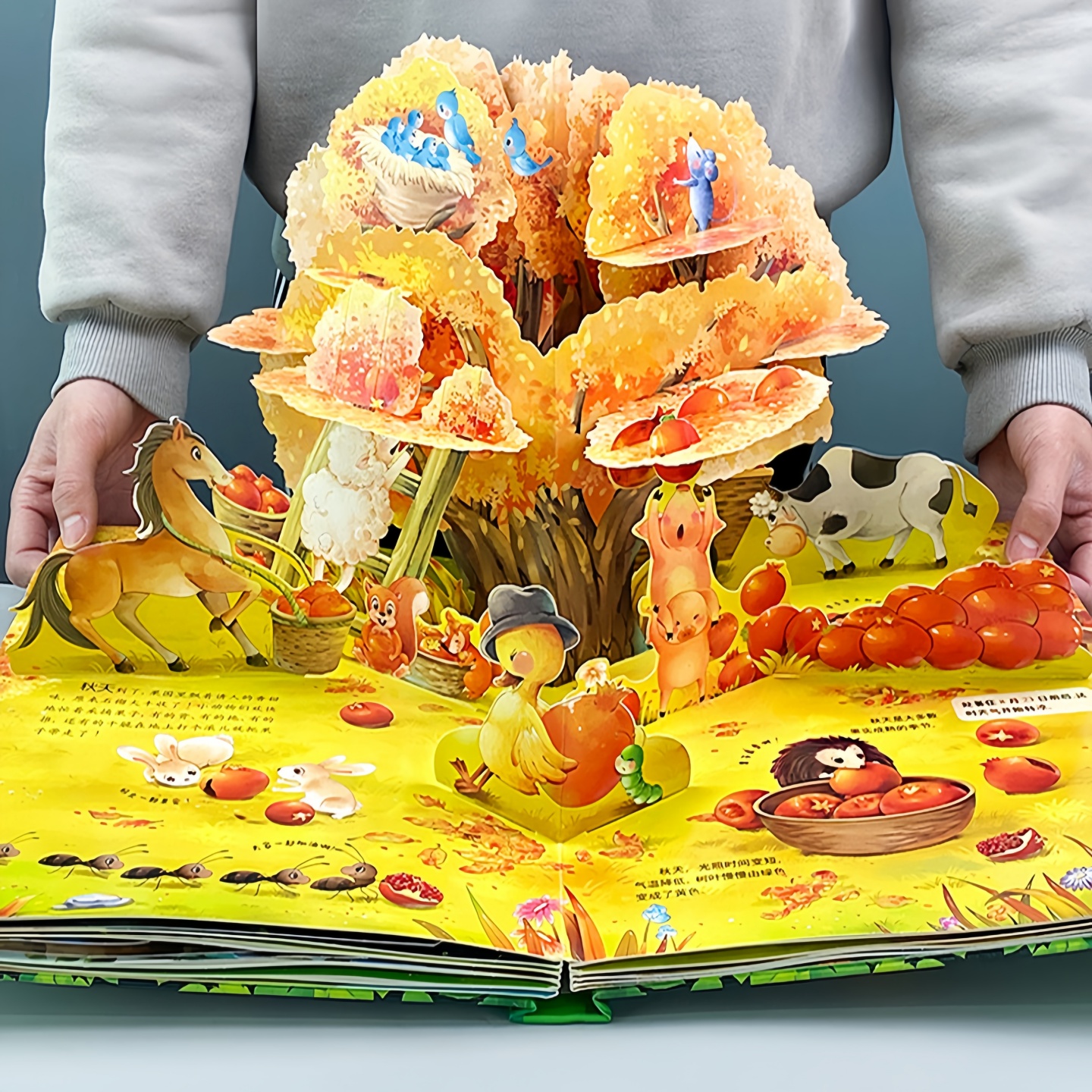 儿童3d立体书藏起来的小秘密小孩子科普翻翻书幼儿早教启蒙玩具书