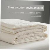 Comforter Summer Duvet Air Sofe Quilt Blanket Condition 夏被