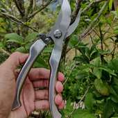 不锈钢强力树枝剪园林剪刀果树粗枝剪园艺修花盆景修枝剪花艺工具