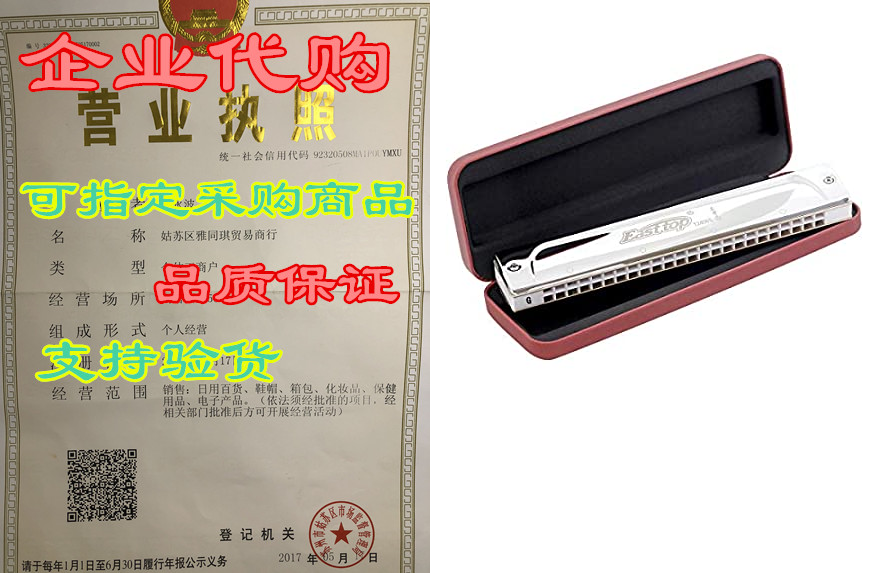 East top 24 Holes Professional Tremolo Harmonica Key of G