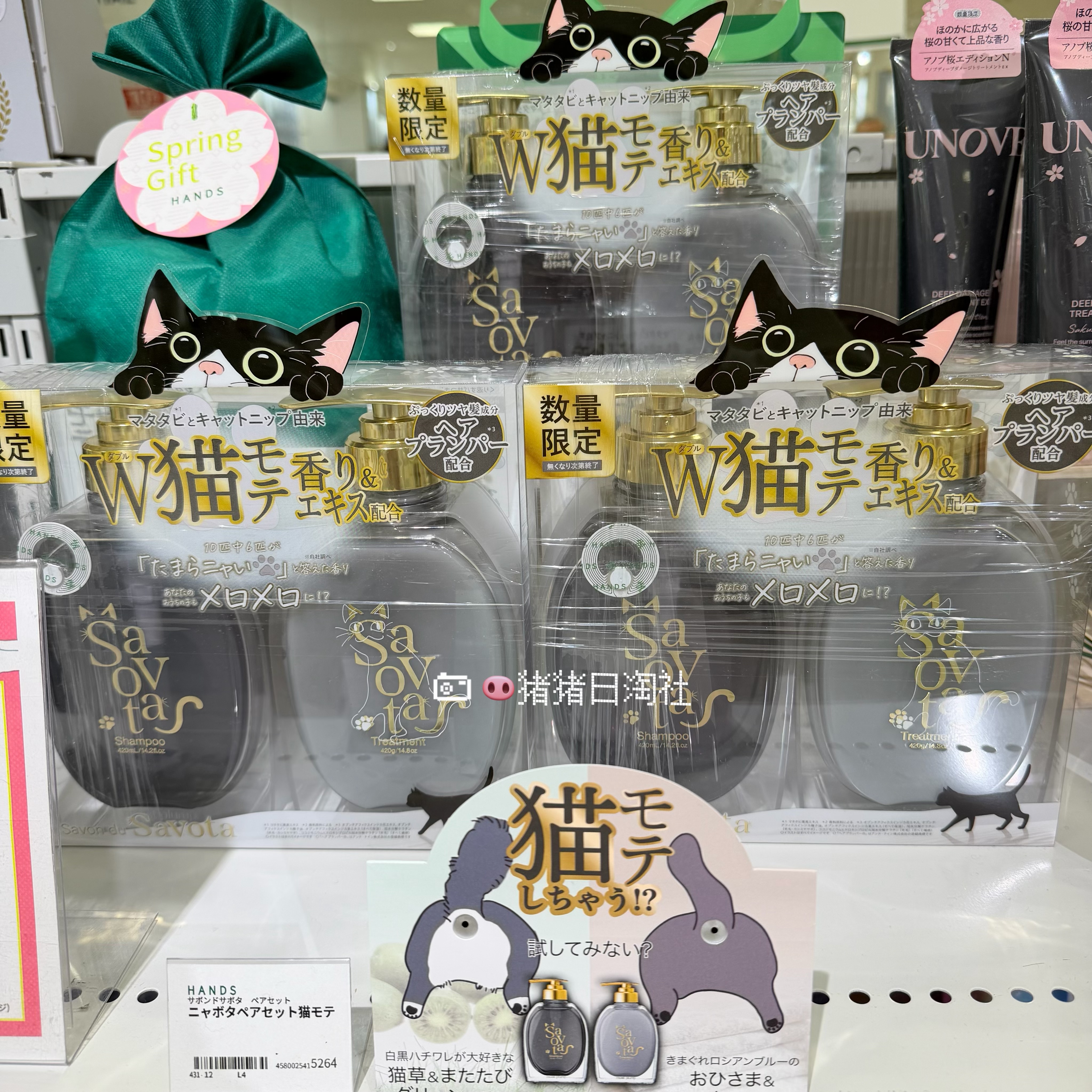 Savota仙人掌猫咪洗发水护发素