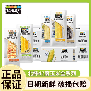 北纬47度鲜糯玉米新鲜黄糯白甜糯玉米低脂轻食早餐代餐玉米真空装