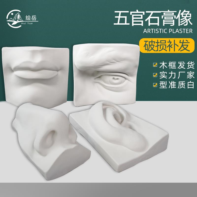 绘岳美术石膏人物头像基础造型五官实面石膏像素描器材眼耳嘴鼻