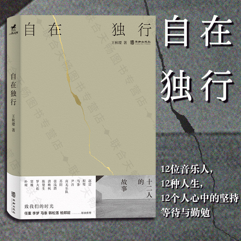 官方店包邮 自在独行 赵雷程璧马条尹吾南无乐队苏阳张浅潜唐映枫陈楚生罗大佑崔健朴树音乐人相关深度访谈 随笔书籍