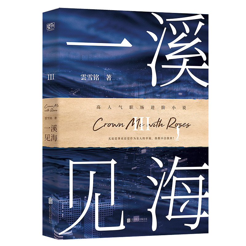 现货包邮 一溪见海Ⅲ 教科书级别全景式职场小说 职场小白生存攻略