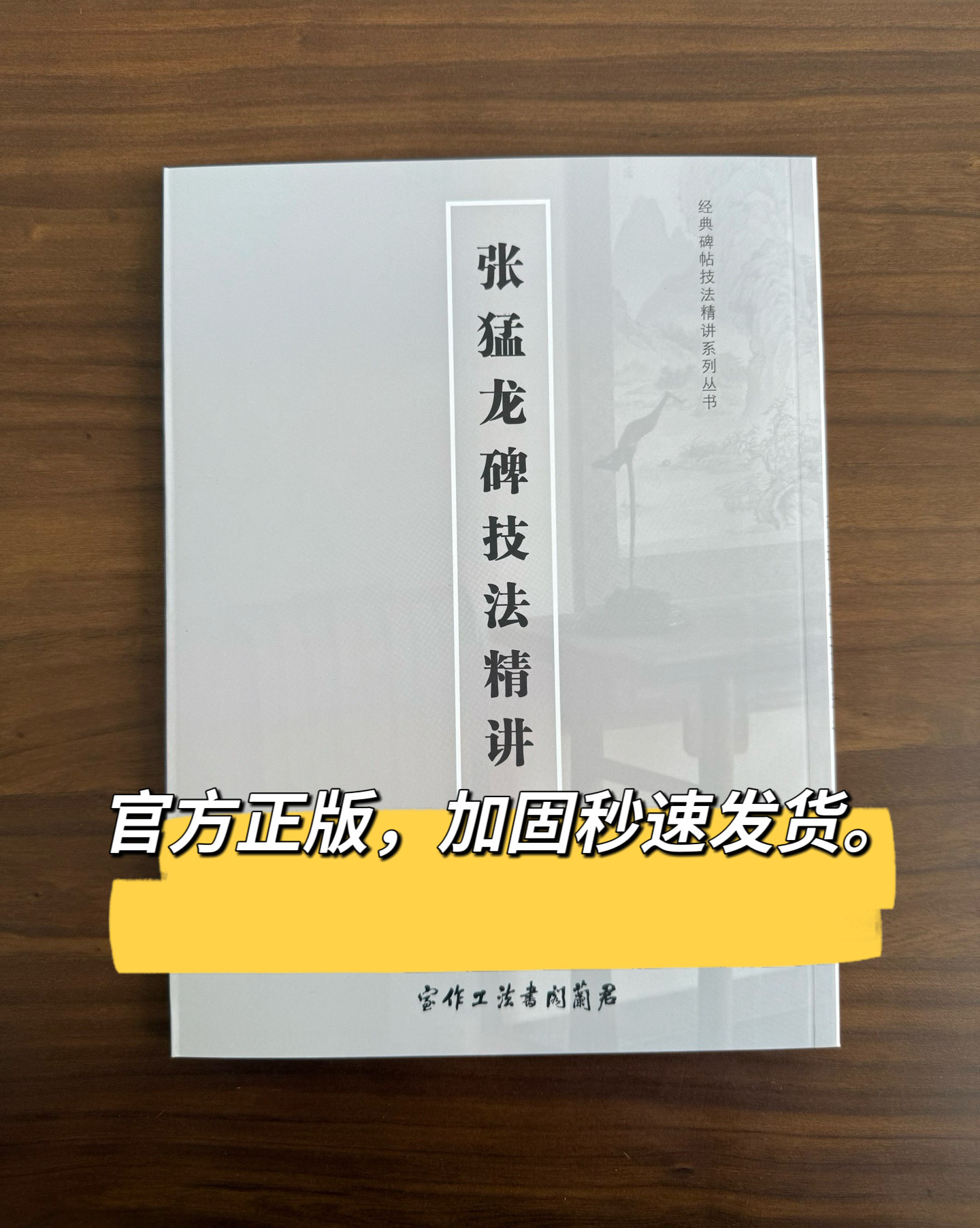 张猛龙碑技法精讲附带视频毛笔书法字帖艺考书法高考参考教材魏碑墓志偏旁部首字典李璧墓志技法解析孙伯翔毛笔书法字帖碑派入门帖