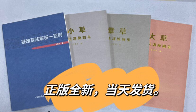 签名本 刘东芹疑难草法解析一百例 小草章草大草字法训练图集 4本