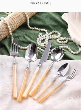 NigaHome 珠光效果手柄餐具刀叉勺子甜点勺4件套装 48242311101