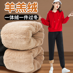 加绒裤子女冬季外穿羊羔绒大码胖mm保暖棉裤高腰休闲哈伦束脚长裤