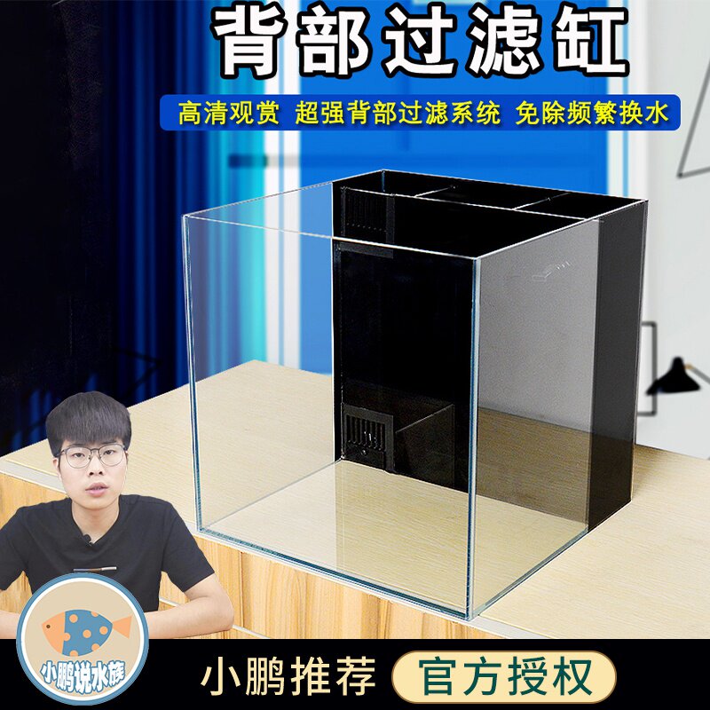 背滤超白鱼缸客厅小型免换水懒人缸海水缸背滤缸生态缸小鹏说水族