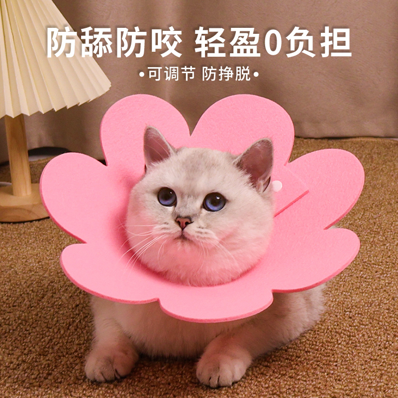 伊丽莎白圈猫咪绝育项圈