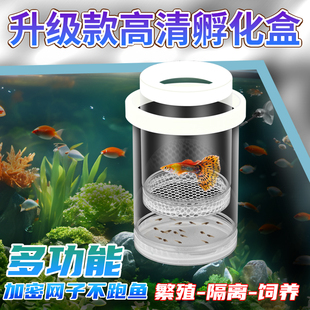 鱼缸隔离盒孵化孔雀鱼产房繁殖盒凤尾斑马母鱼小鱼缸内胎生鱼幼鱼