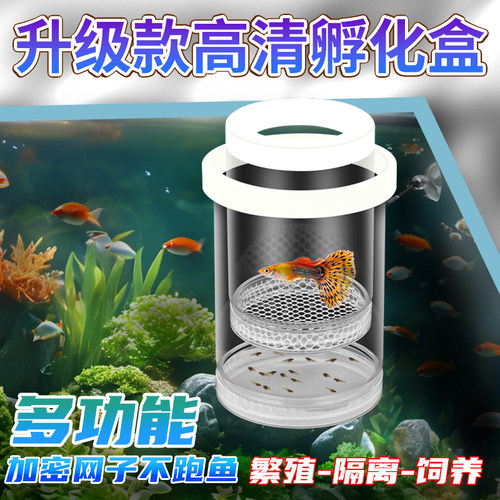 鱼缸隔离盒孵化孔雀鱼产房繁殖盒凤尾斑马母鱼小鱼缸内胎生鱼幼鱼