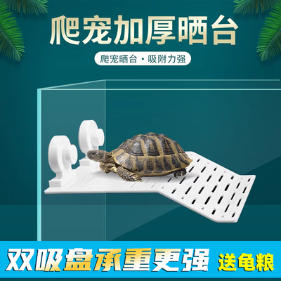 乌龟爬台爬梯晒台爬板爬梯