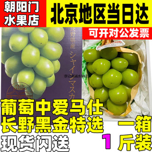 长野黑金特选香印礼盒日本品种晴王香印青提葡萄单独装 礼盒水果