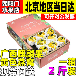 5个礼盒装 顺丰2 广西麒麟果黄色燕窝黄金火龙果新鲜水果