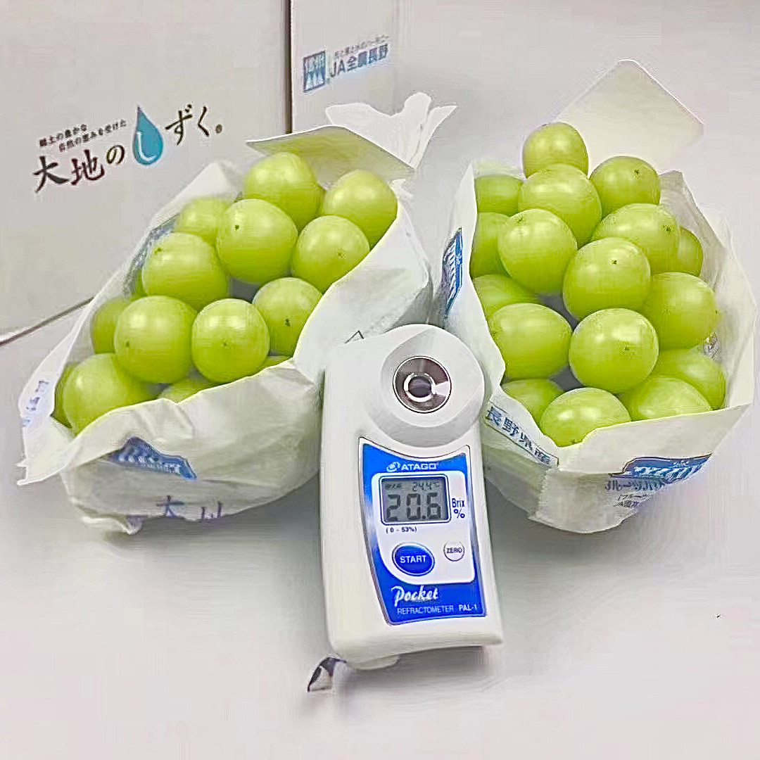 日本进口水果葡萄新鲜水果礼盒