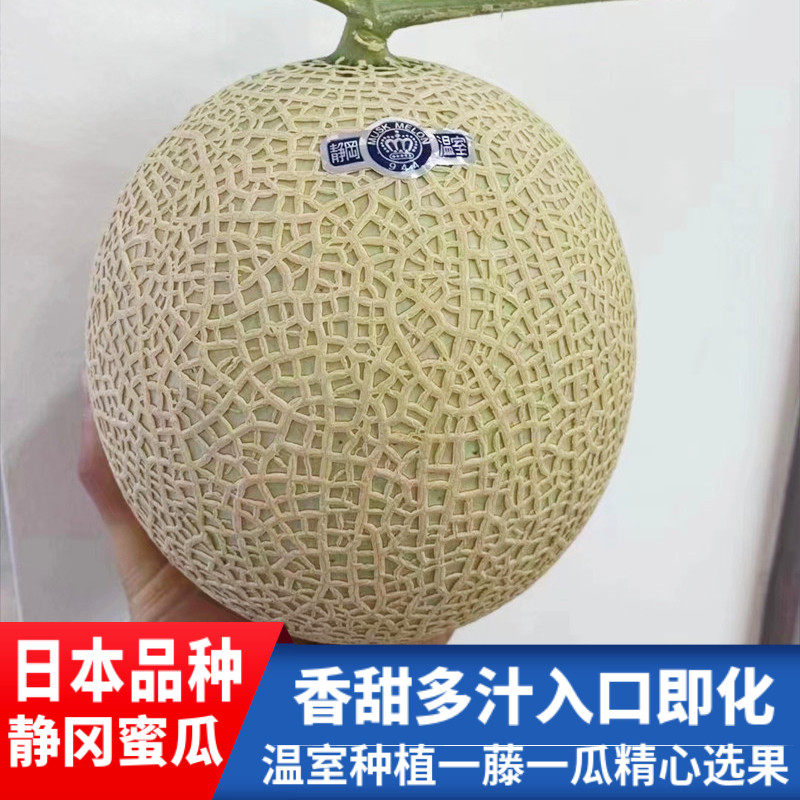 日本引种静冈网纹蜜瓜梅陇冈藤皇冠白印1个哈密蜜瓜T字瓜新鲜水果