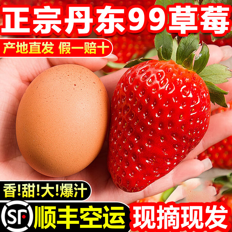 正宗顺丰空运丹东99草莓新鲜水果红颜牛奶油九九草莓礼盒孕妇当季