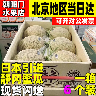 高端日本引进静冈网纹蜜瓜原箱6颗哈蜜瓜品种软糯香甜多汁T字瓜