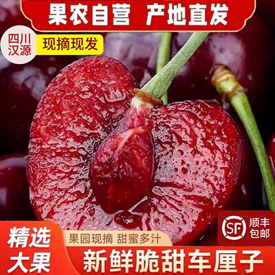 四川（汉源）黑珍珠车厘子孕妇应季新鲜水果当季现采现摘