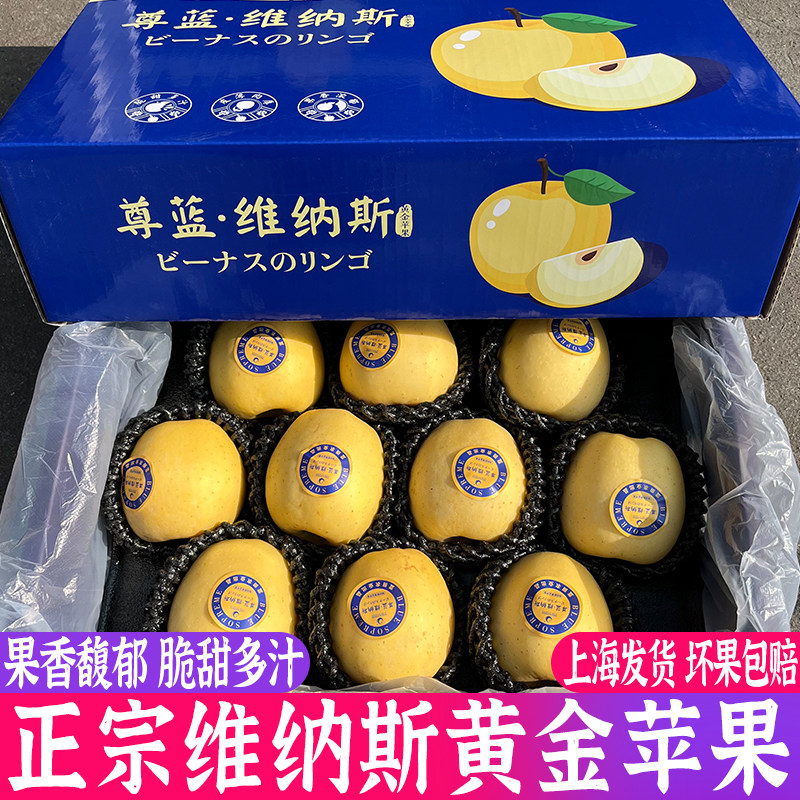 日本引种维纳斯黄金苹果5斤礼盒冬恋苹果黄元帅脆甜多汁新鲜水果