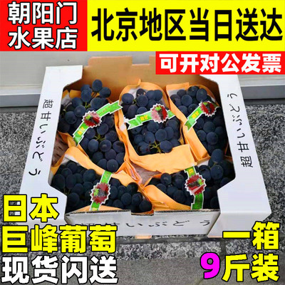 北京新款中国大陆天香整箱装约9斤新鲜葡萄比巨峰好吃大部分无籽