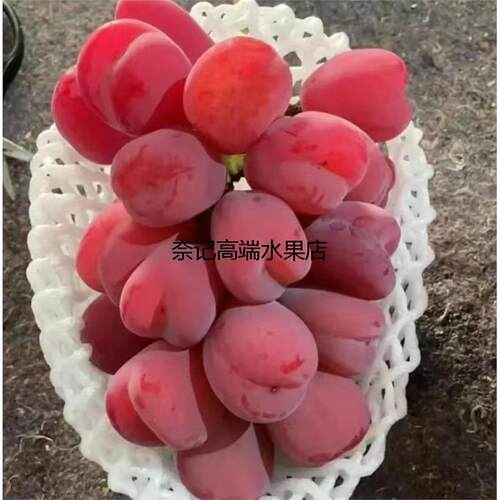 当季水果新鲜礼盒孕妇
