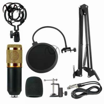 Bm800 condenser microphone + V8 sound card computer recordin