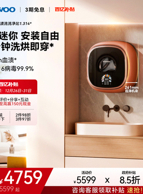 大宇壁挂式洗衣机迷你小型内衣裤婴儿超薄洗烘一体机小壁虎BGX12H