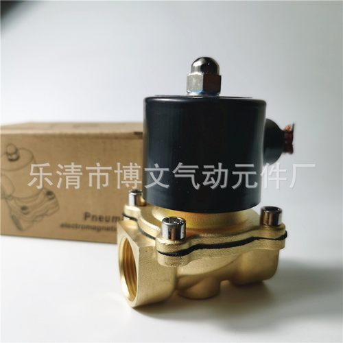 2W-160-15疏水管道铜体二通阀常闭AC220V DC12V