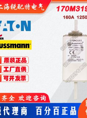 170M3193快速熔断器 1250V 160A 巴斯曼BUSSMANN快速熔断器