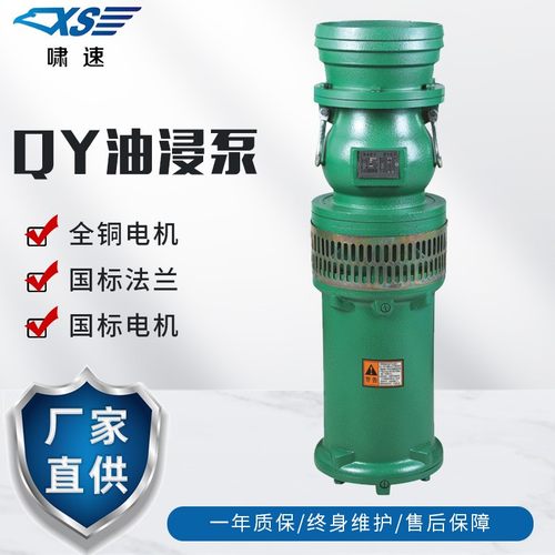 现货供应QY油浸泵 喷泉假山潜水泵大口径抽水泵 工程泵