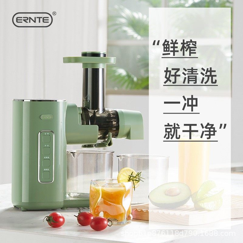 德国ERNTE原汁机榨汁机汁渣分离多功能家用果汁炸汁机水果打汁机