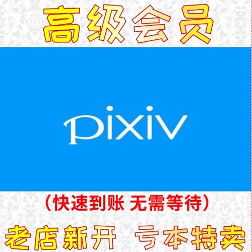 pixiv高级会员VIP月卡季卡年卡P站会员二次元插画 充值你自己的号