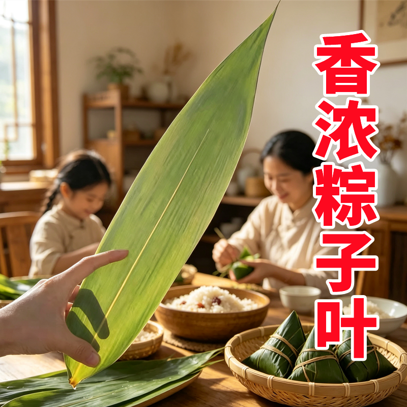 新鲜野生芦苇叶粽叶天然野生粽子叶端午节农家现摘特级大号干芒叶