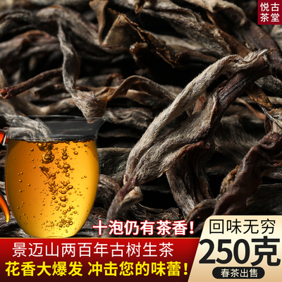 【景迈200年古树】普洱茶生茶散茶古树茶250g一袋 景迈山古树散装