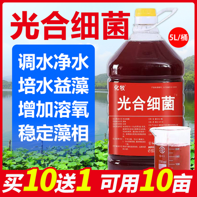 光合细菌菌种原种光合细菌培养基海淡水通用水产养殖降低氨氮亚盐