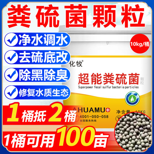 粪硫菌颗粒水产养殖鱼虾蟹塘硫化氢氧化菌硫细菌生物底改净水除臭