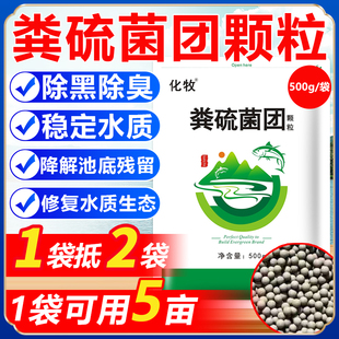 粪硫菌团水产养殖专用调水净水稳水底改王生物底改除黑除臭增氧