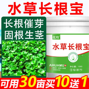 水草长根宝生根剂水草壮根颗粒水草动力素长根肥粒粒肥水产养殖