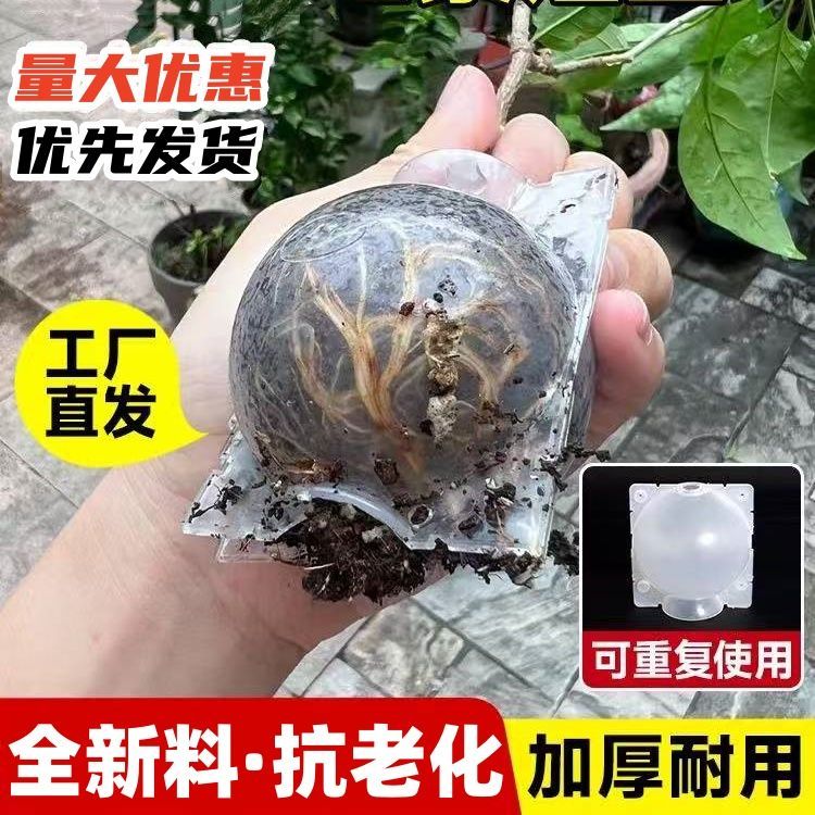 植物高压嫁接盒生根器育苗培养器